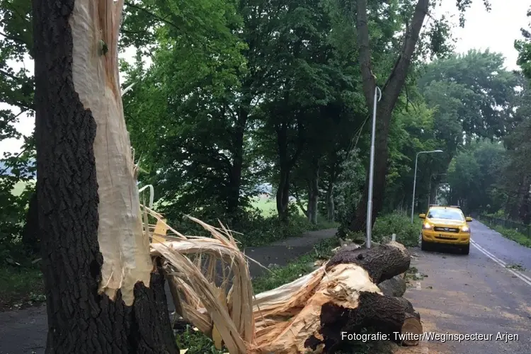 N206 tussen Vogelenzang en Aerdenhout hele dag dicht na noodweer