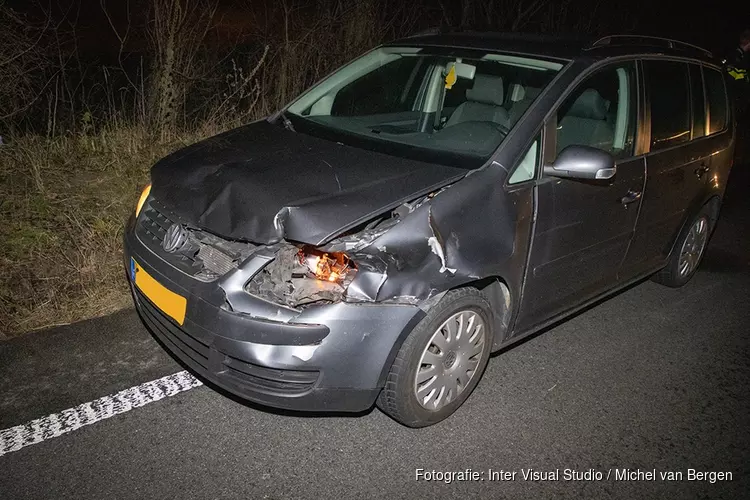 Weer hert doodgereden op de Zeeweg in Overveen