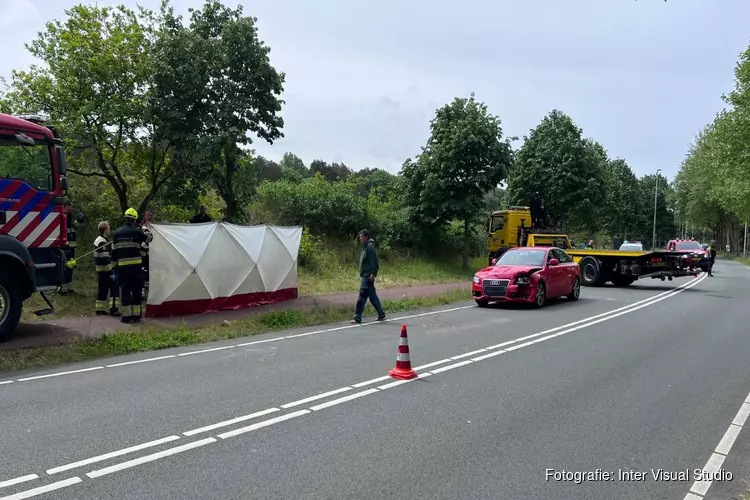 Paard overleden bij aanrijding