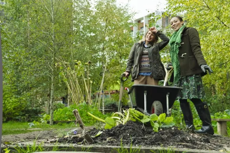 Groene vingers en een uurtje over? Ga lekker aan de slag!