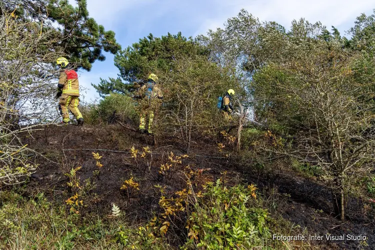 Brandweer heeft handen vol aan duinbrand in Overveen