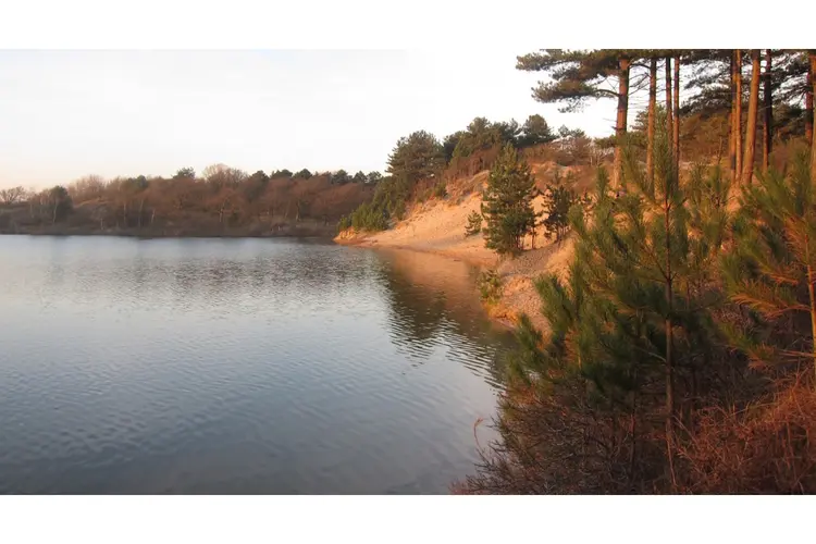 Rondje Oosterplas in november