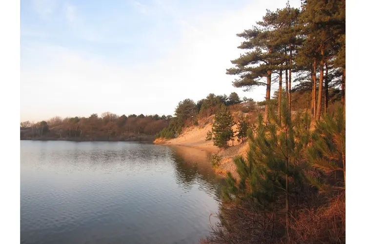 Rondje Oosterplas in februari